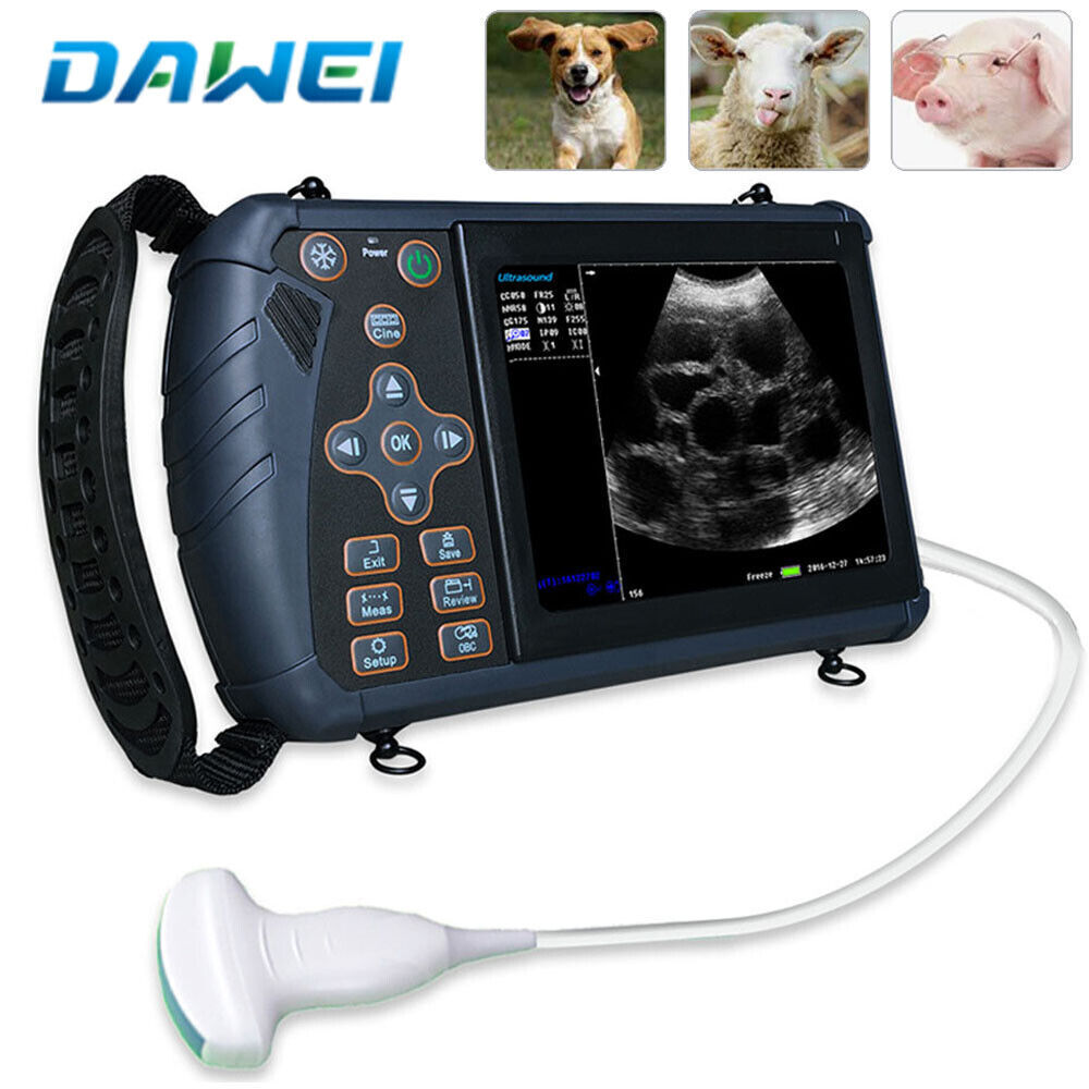 Veterinary Ultrasound Machine Convex Probe For Pigs, Cows, Camels, Sheep, Ect. | Ultrasound Machines - Guide & Reviews |