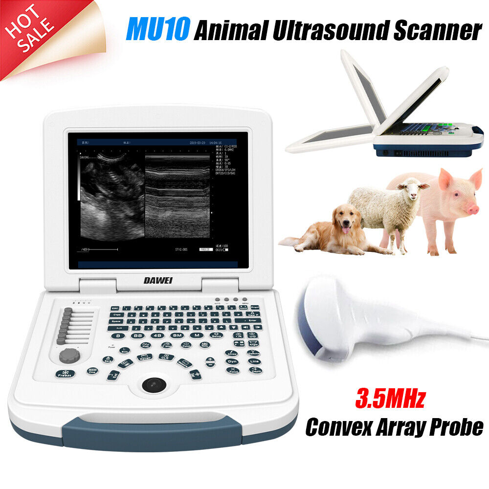 DAWEI Laptop Vet Ultrasound Machine Scanner Convex For Horse,Cow,Large Animals | Ultrasound Machines - Guide & Reviews |