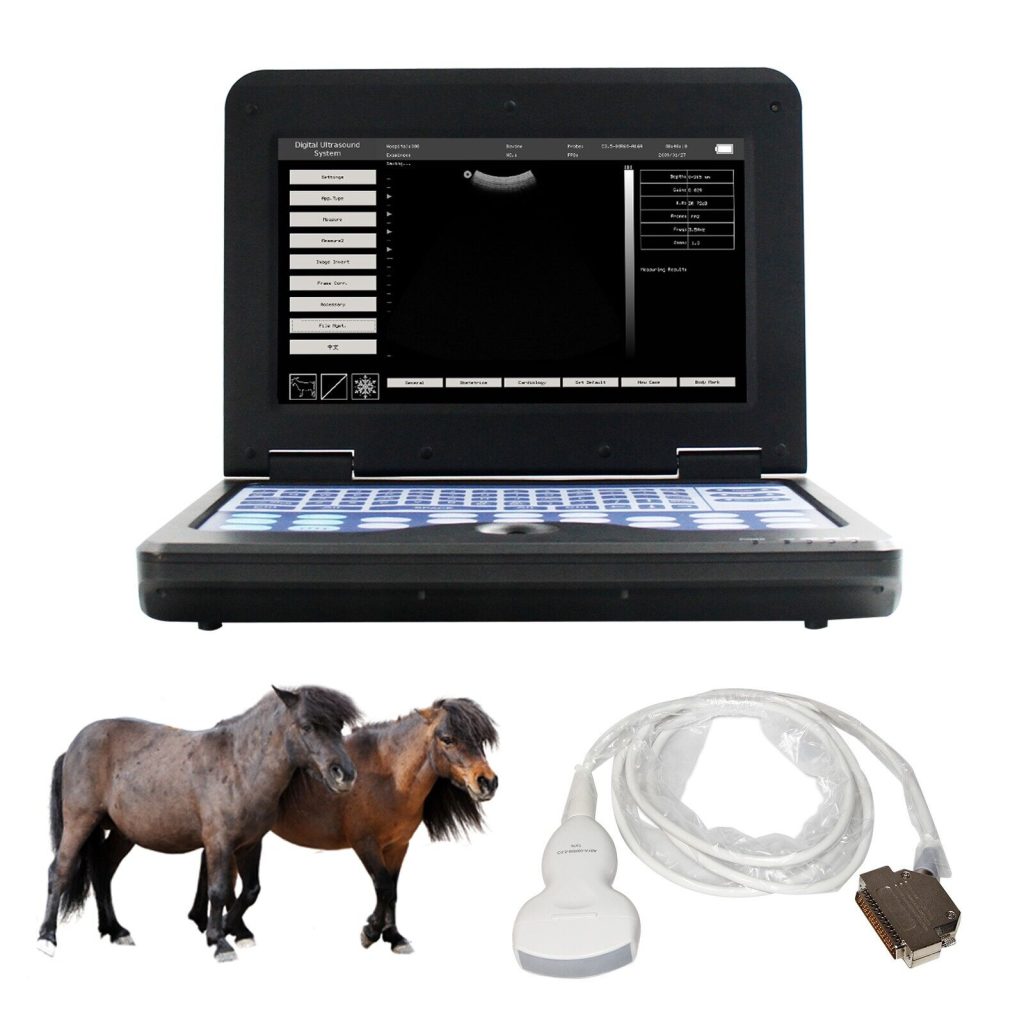 VET Veterinary portable Ultrasound Scanner Laptop Machine Convex Probe 3.5Mhz | Ultrasound Machines - Guide & Reviews January 15, 2026 VET Veterinary portable Ultrasound Scanner Laptop Machine Convex Probe 3.5Mhz | Ultrasound Machines - Guide & Reviews |
