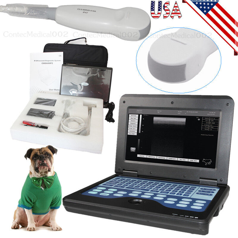 Veterinary Ultrasound Scanner Laptop Ultrasound Machine Micro Convex For Dog/Cat | Ultrasound Machines - Guide & Reviews January 15, 2026 Veterinary Ultrasound Scanner Laptop Ultrasound Machine Micro Convex For Dog/Cat | Ultrasound Machines - Guide & Reviews |